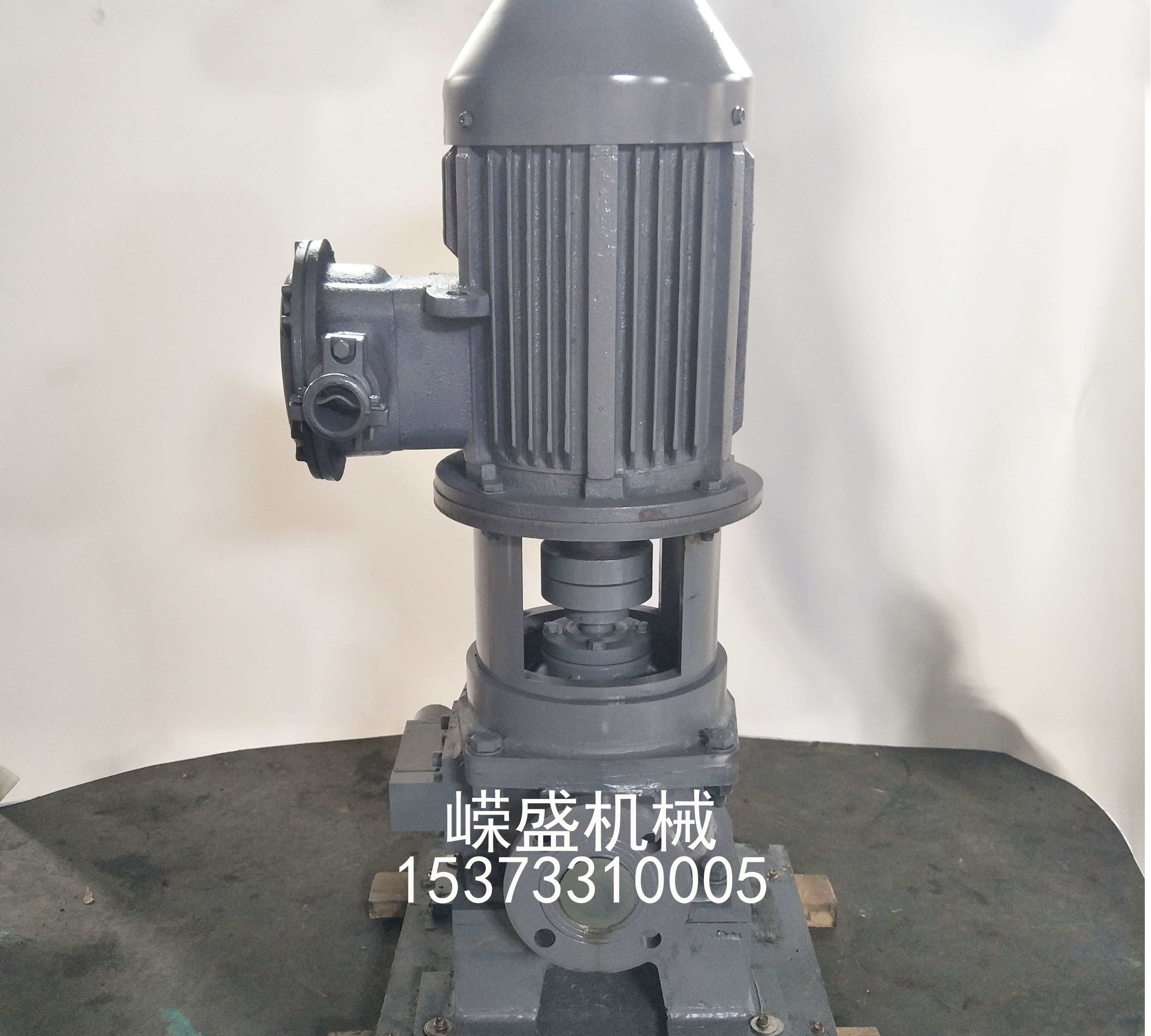 立式滑片泵